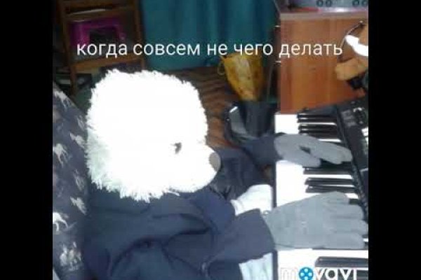 Сайт кракен что это такое