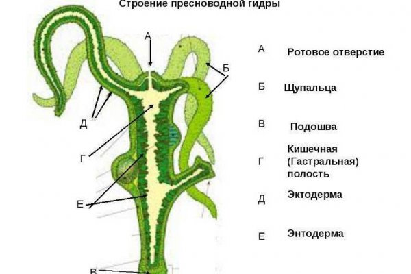 Ссылки тор браузер