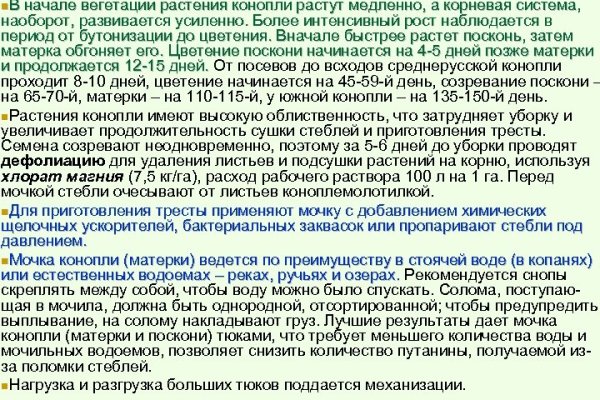 Кракен ссылка vtor