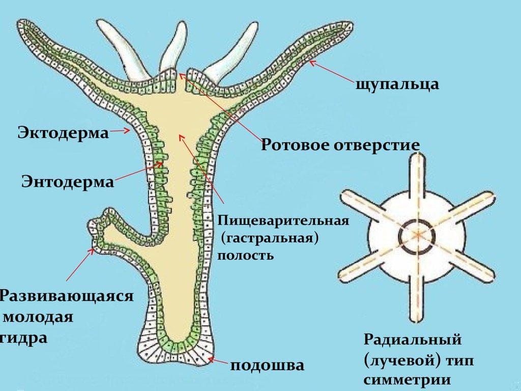 Кракен сайт юнион
